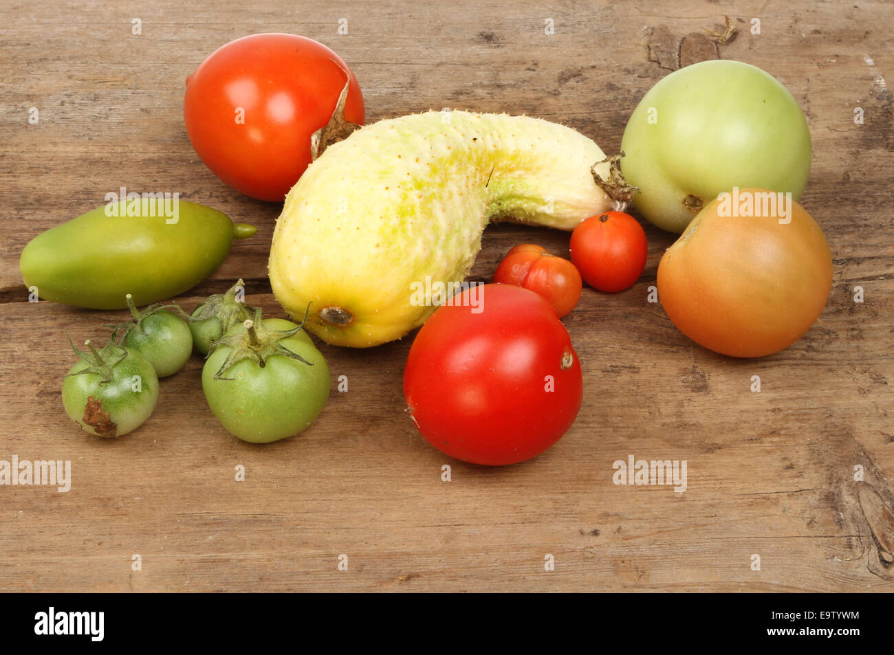 Auswahl von Reifen und unreifen Tomaten und stachelige Gurke auf einem verwitterten Holzbrett Stockfoto
