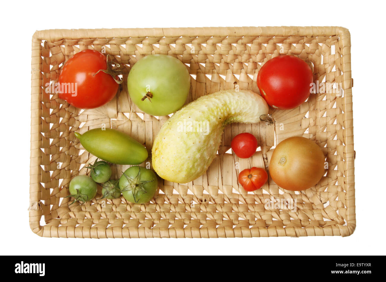 Auswahl von Reifen und unreifen Tomaten und Gurken in einem Weidenkorb isoliert gegen weiß Stockfoto