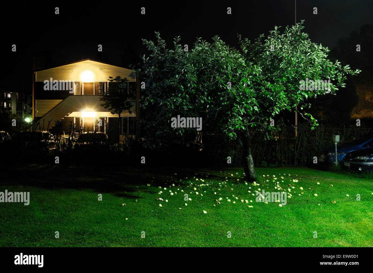 Apfelbaum im Garten neben Parkplatz in der Nacht, horizontale Stockfoto