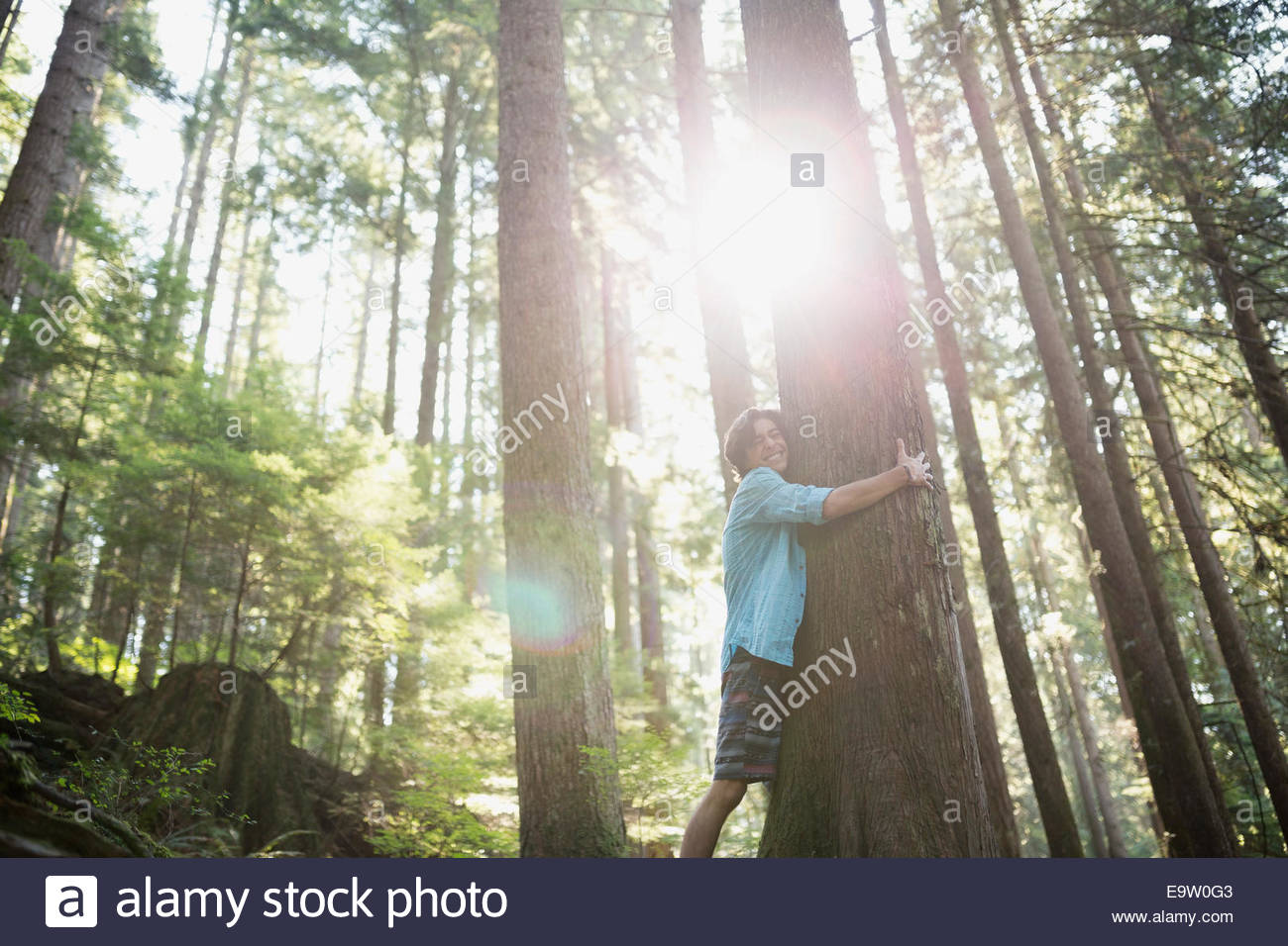 Teenager-jungen Baum im sonnigen Wald umarmt Stockfoto