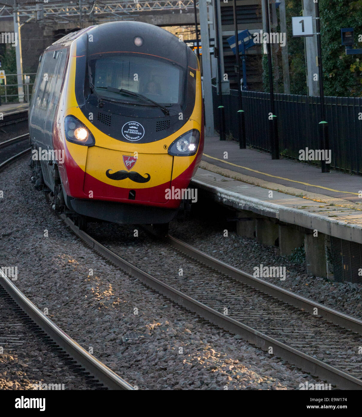 Pendolino mit einem Schnurrbart Stockfoto