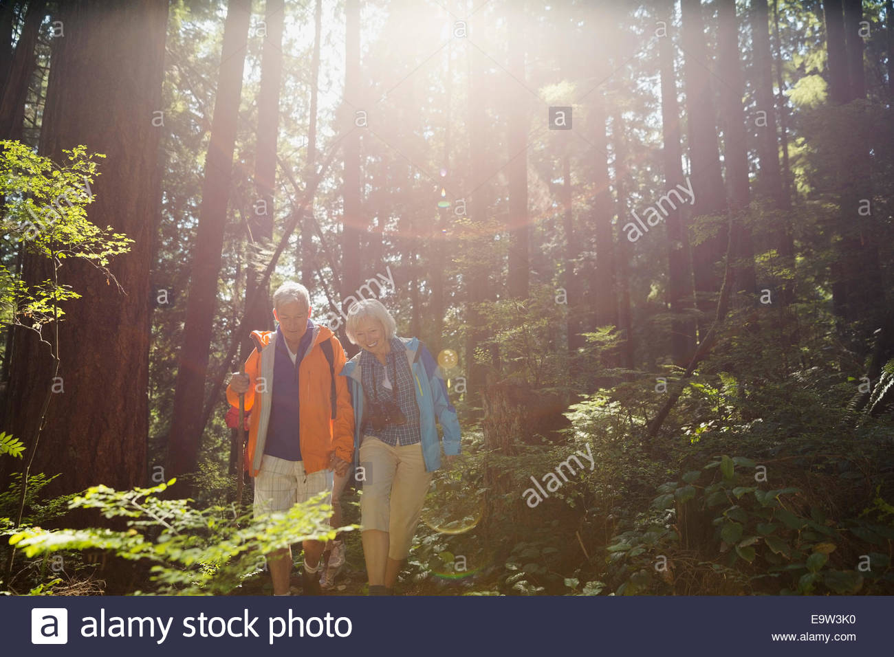 Älteres Paar im sonnigen Wald wandern Stockfoto