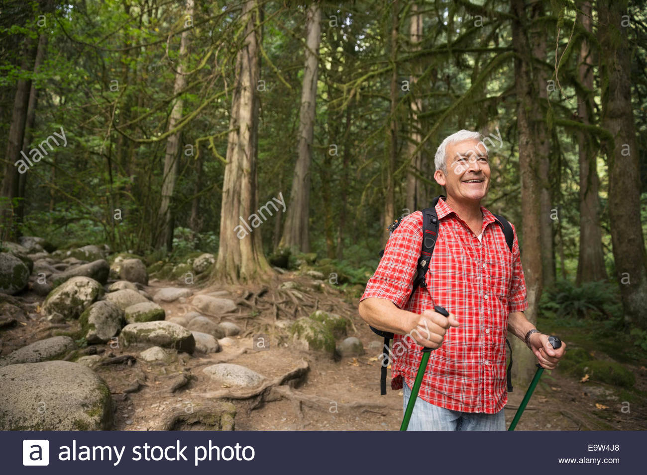 Lächelnd Mann mit Wanderstöcken auf Spuren im Wald Stockfoto