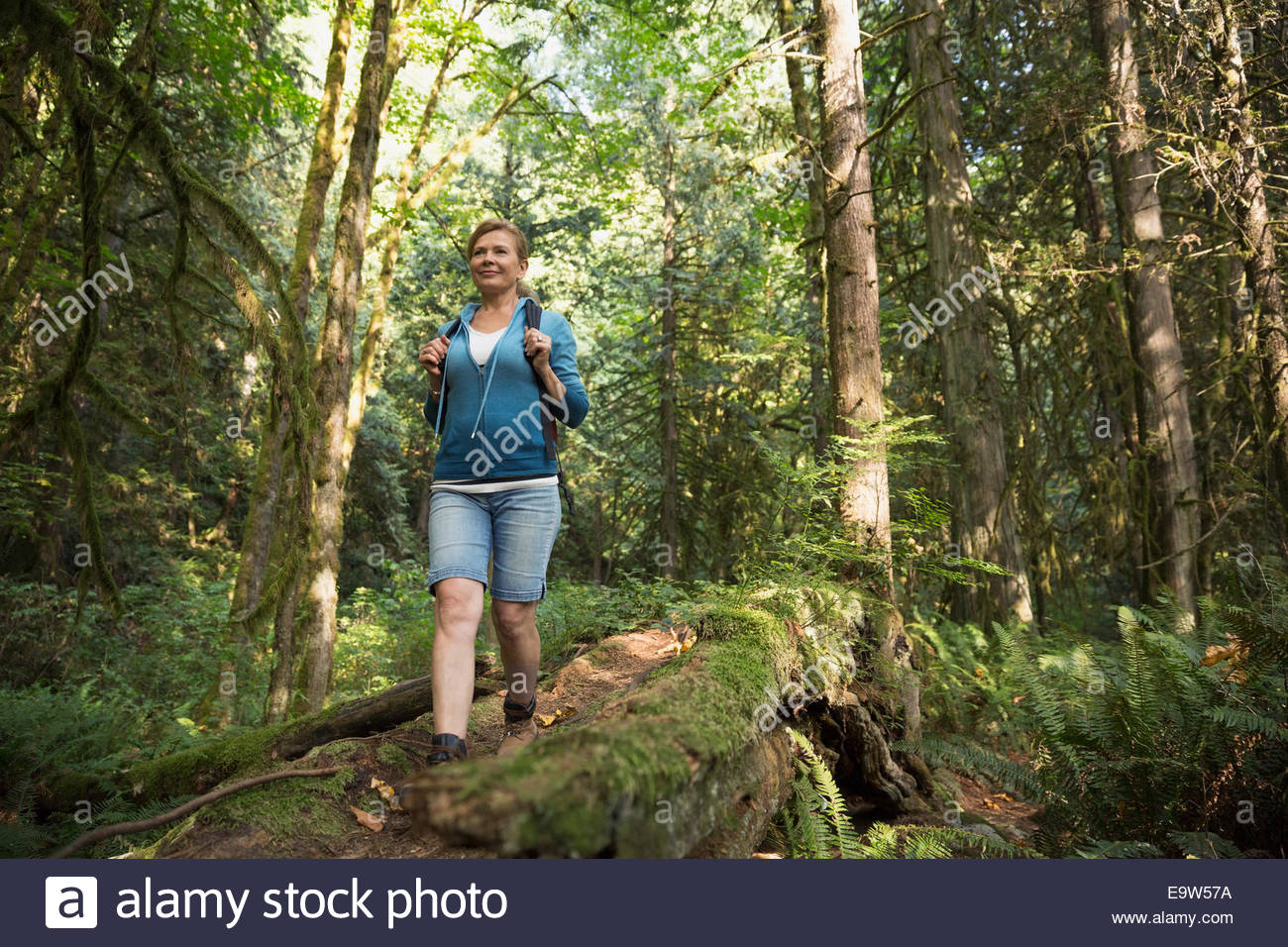 Frau absteigender Wanderweg im Wald Stockfoto