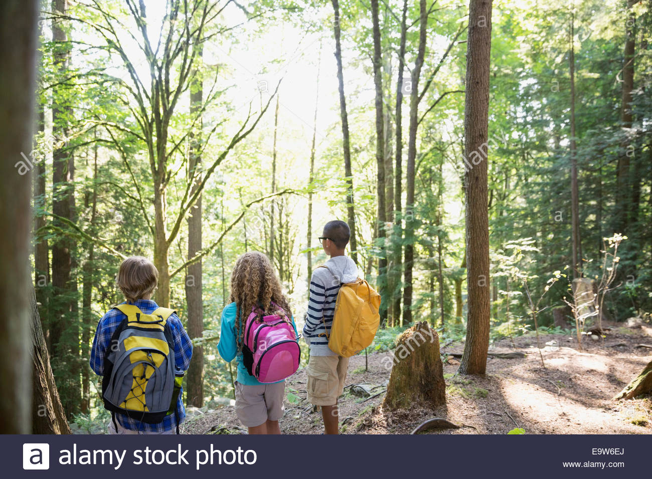 Jungen und Mädchen mit Rucksäcken, Wandern im Wald Stockfoto