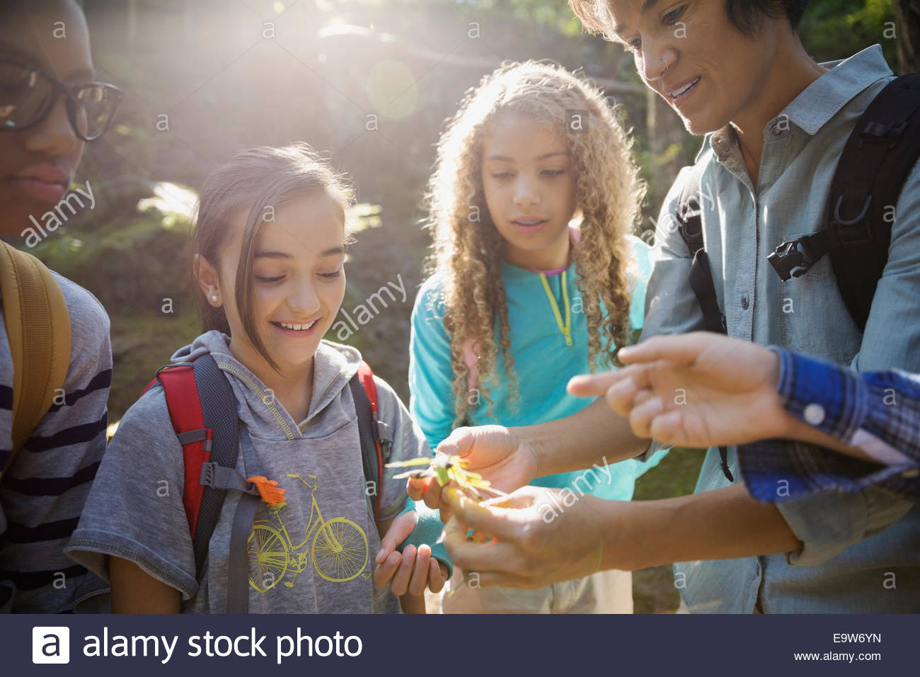 Lehrer und Kinder untersuchen Pflanze im Wald Stockfoto