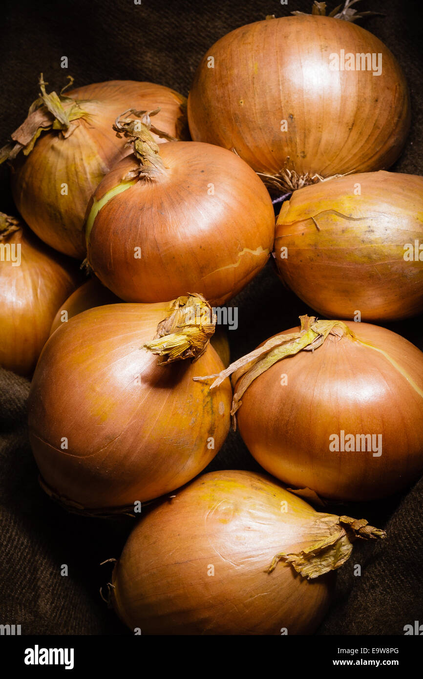 Goldene Zwiebel in einer hessischen entlassen Stockfoto