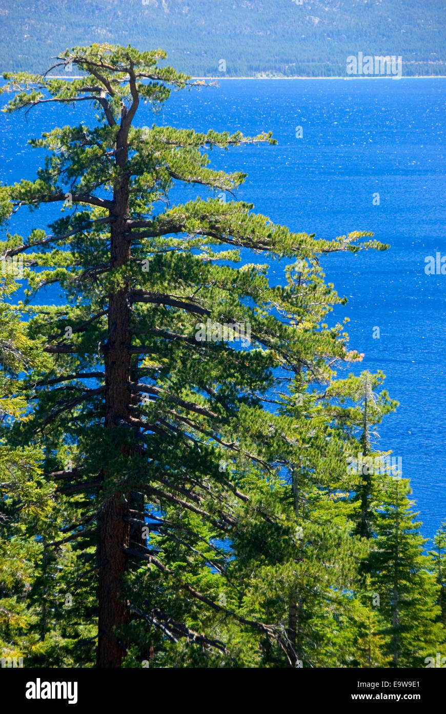 Lake Tahoe, DL Bliss State Park, Kalifornien Stockfoto