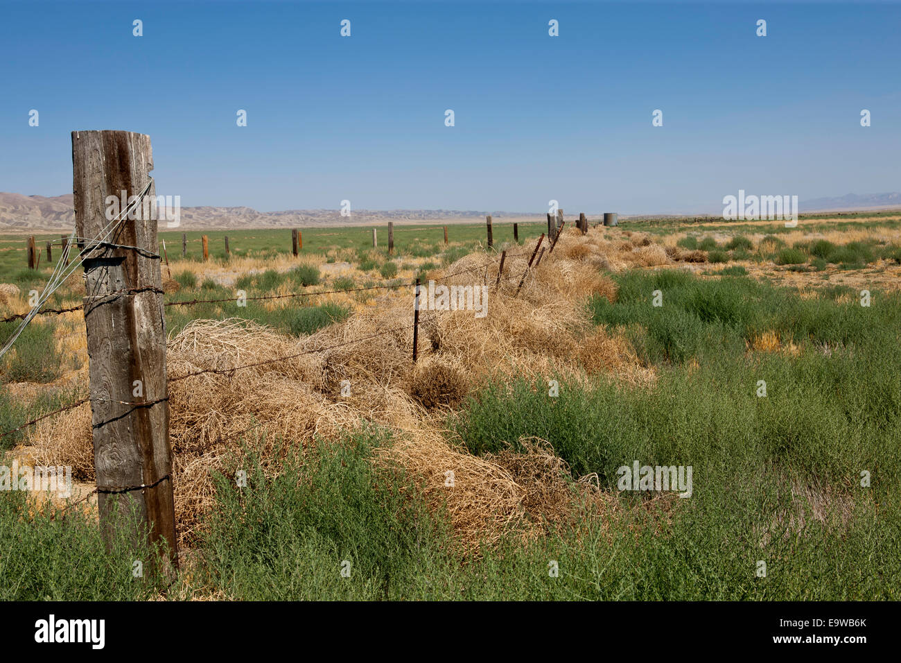 Rinder-Zaun entlang Sankt Andreas Fault in der Mitte Carrizo Plain. Stockfoto