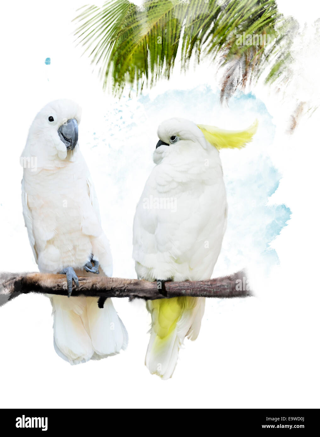 Digitale Malerei von weißen Papageien Stockfoto