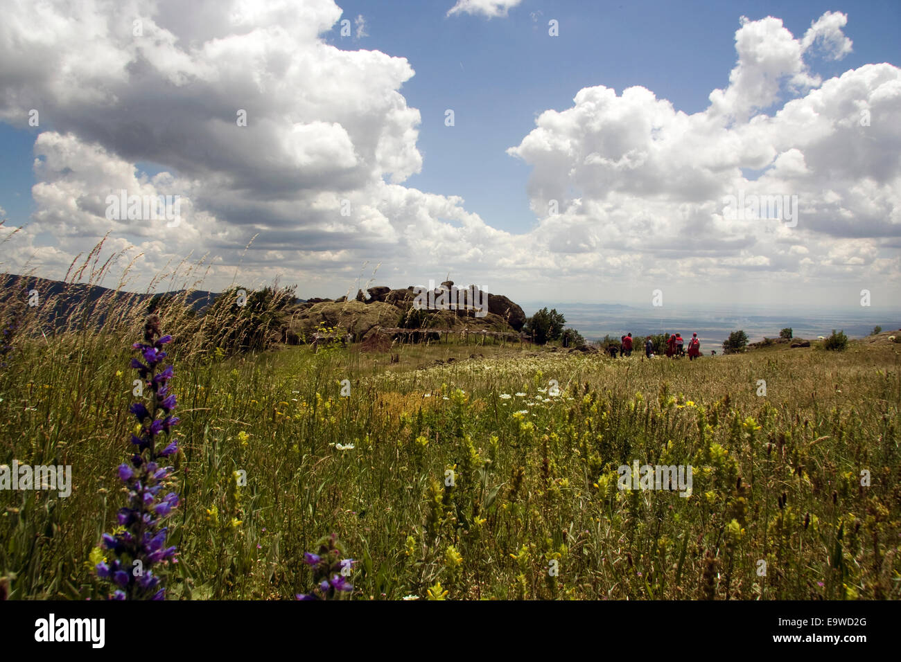 Naturpark "Blue Stones" - Karandila. Bulgarien. Stockfoto