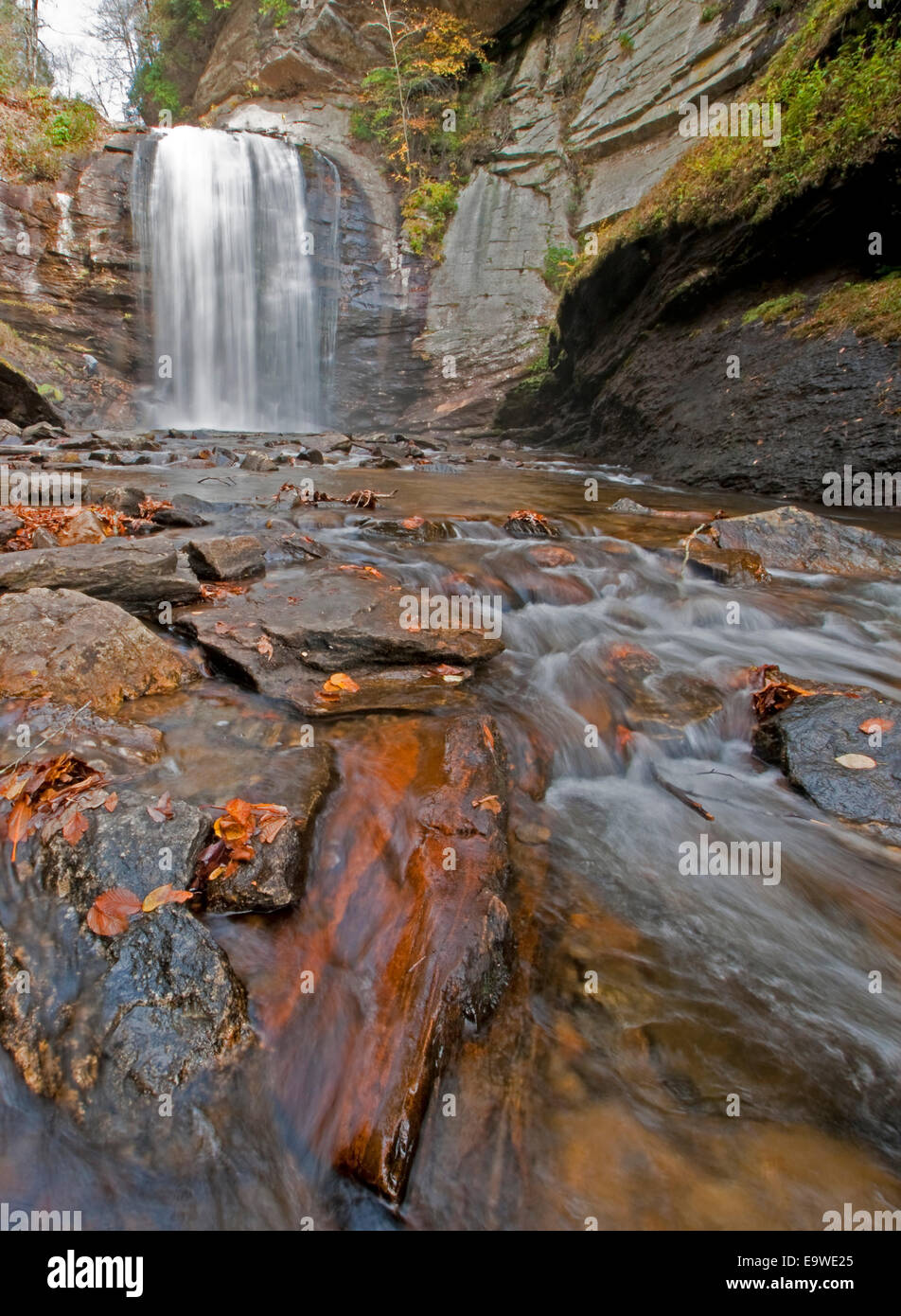 Looking Glass fallen im Herbst im Pisgah National Forest, südlichen Appalachian Berge, North Carolina. Stockfoto