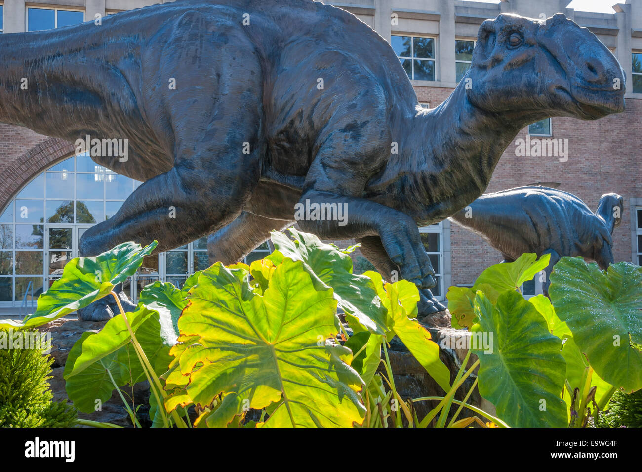 Zwei bronzene Dinosaurier Webstuhl über grünen Vegetation am Eingang zum Fernbank Museum of Natural History in Atlanta, Georgia, USA. Stockfoto