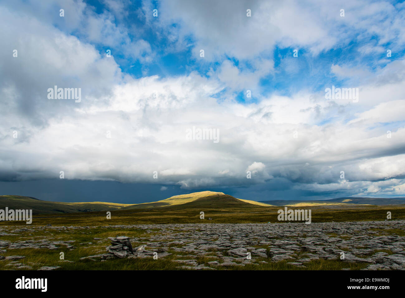 Kalkstein Pflaster mit Blick auf Whernside in den Yorkshire Dales National Park Stockfoto