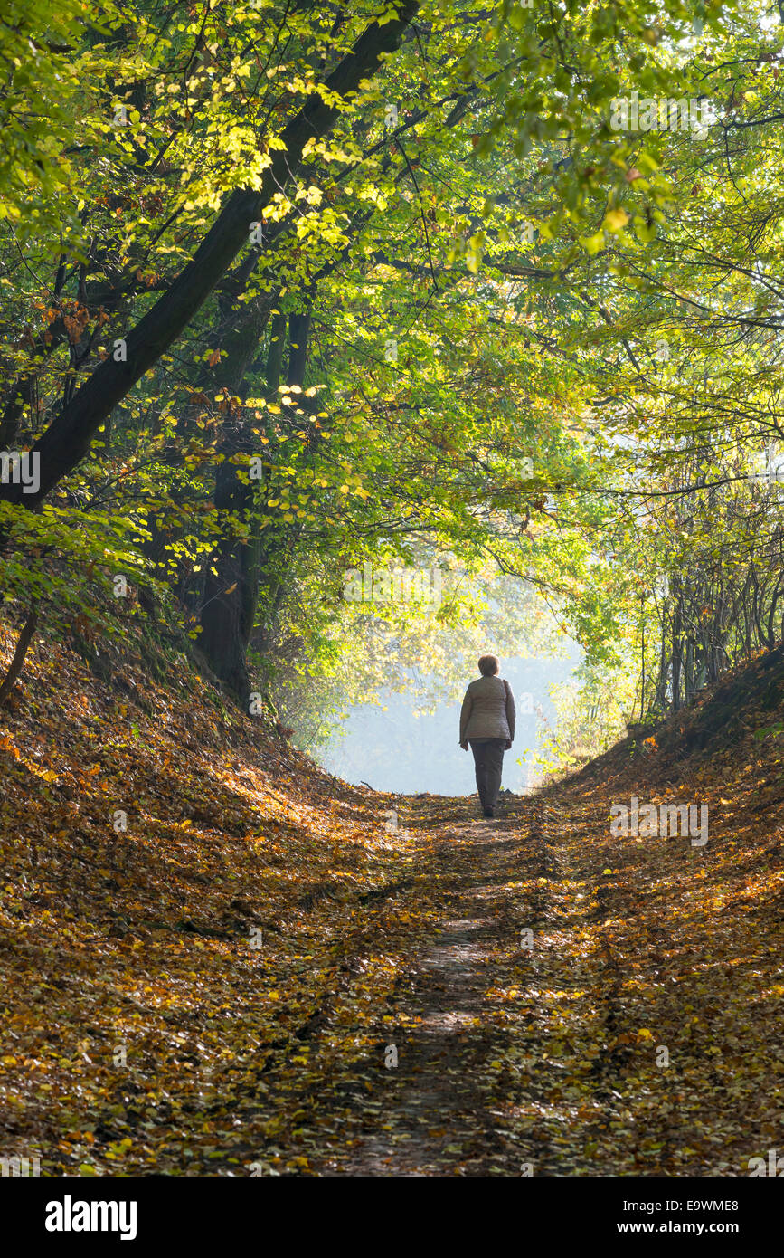 Eine Frau, die zu Fuß über einen Waldweg im Herbst Stockfoto