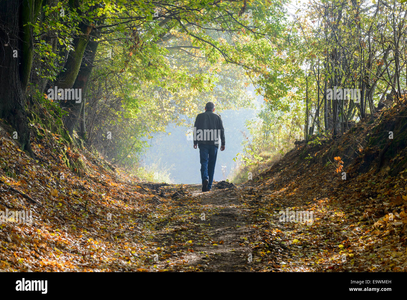 Ein Mann zu Fuß über einen Waldweg im Herbst Stockfoto