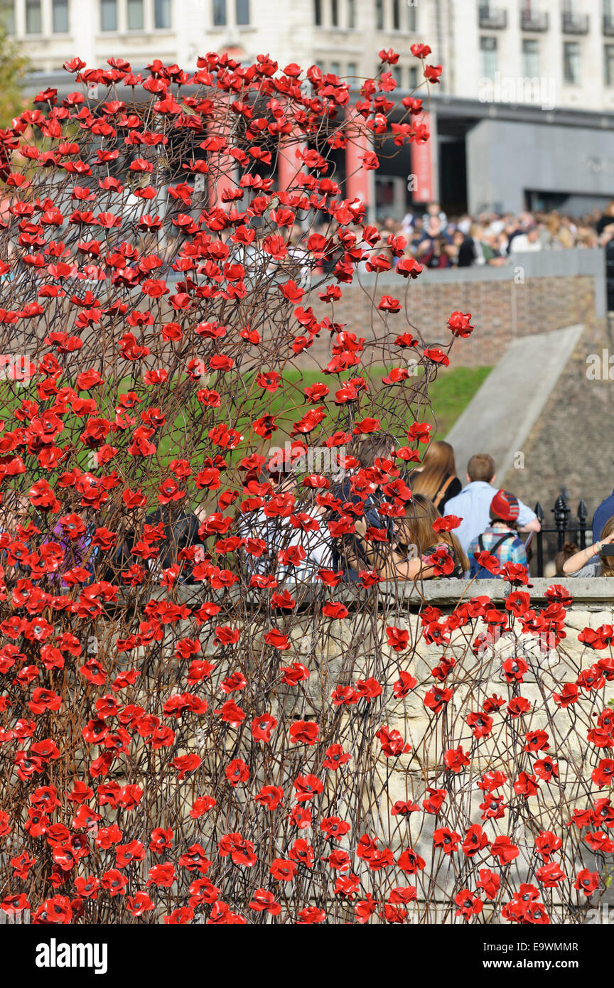 Großbritannien, England, London. Besucher bewundern das Meer der Keramik Mohnblumen in den Tower of London zum Gedenken an die Hundertjahrfeier des 1. Weltkrieges. Stockfoto