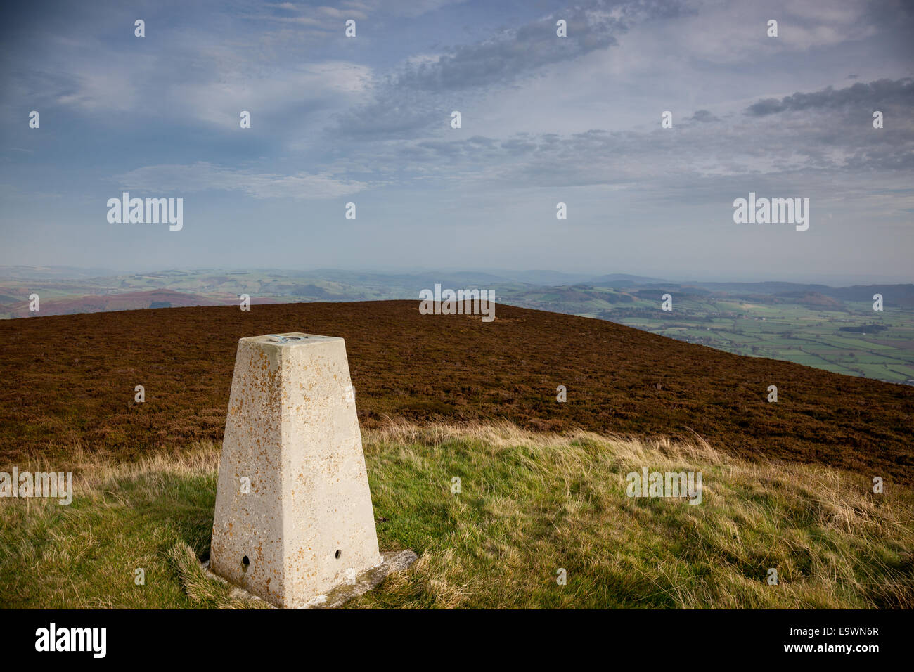 Triglyzerid Punkt am Bache Hill, in der Nähe von neuen Radnor, Powys, Wales Stockfoto