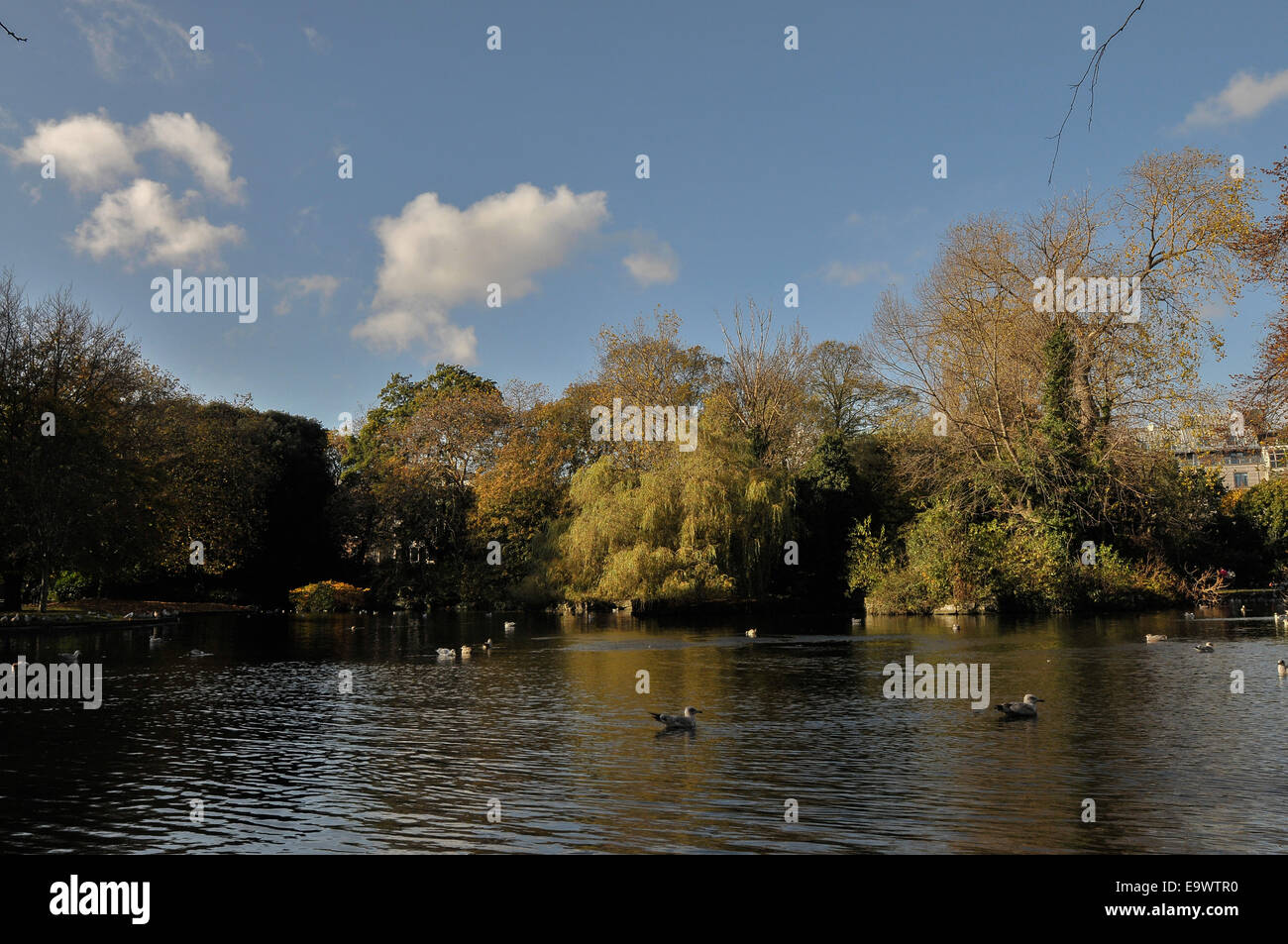 Blick auf Teich innen St Stephens Park, Dublin, Irland Stockfoto