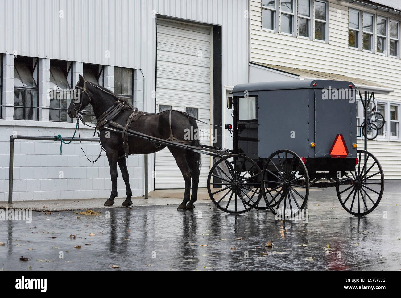 Amische Pferd und Buggy, Lancaster County, Pennsylvania, USA Stockfoto