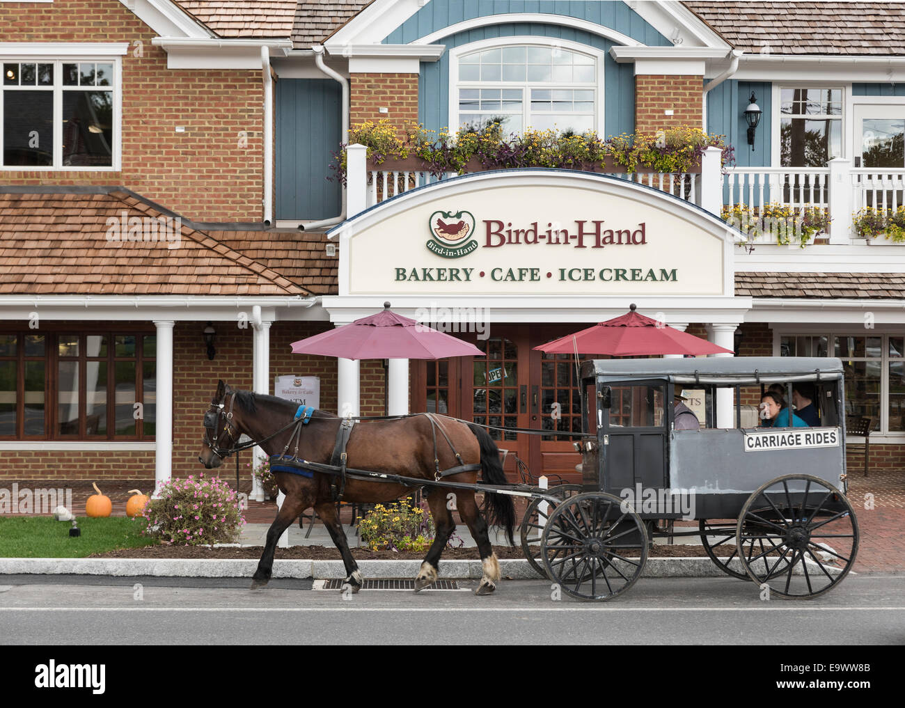 Pferd gezeichneten Buggy fahren, Vogel in der Hand, Lancaster, Pennsylvania, USA Stockfoto