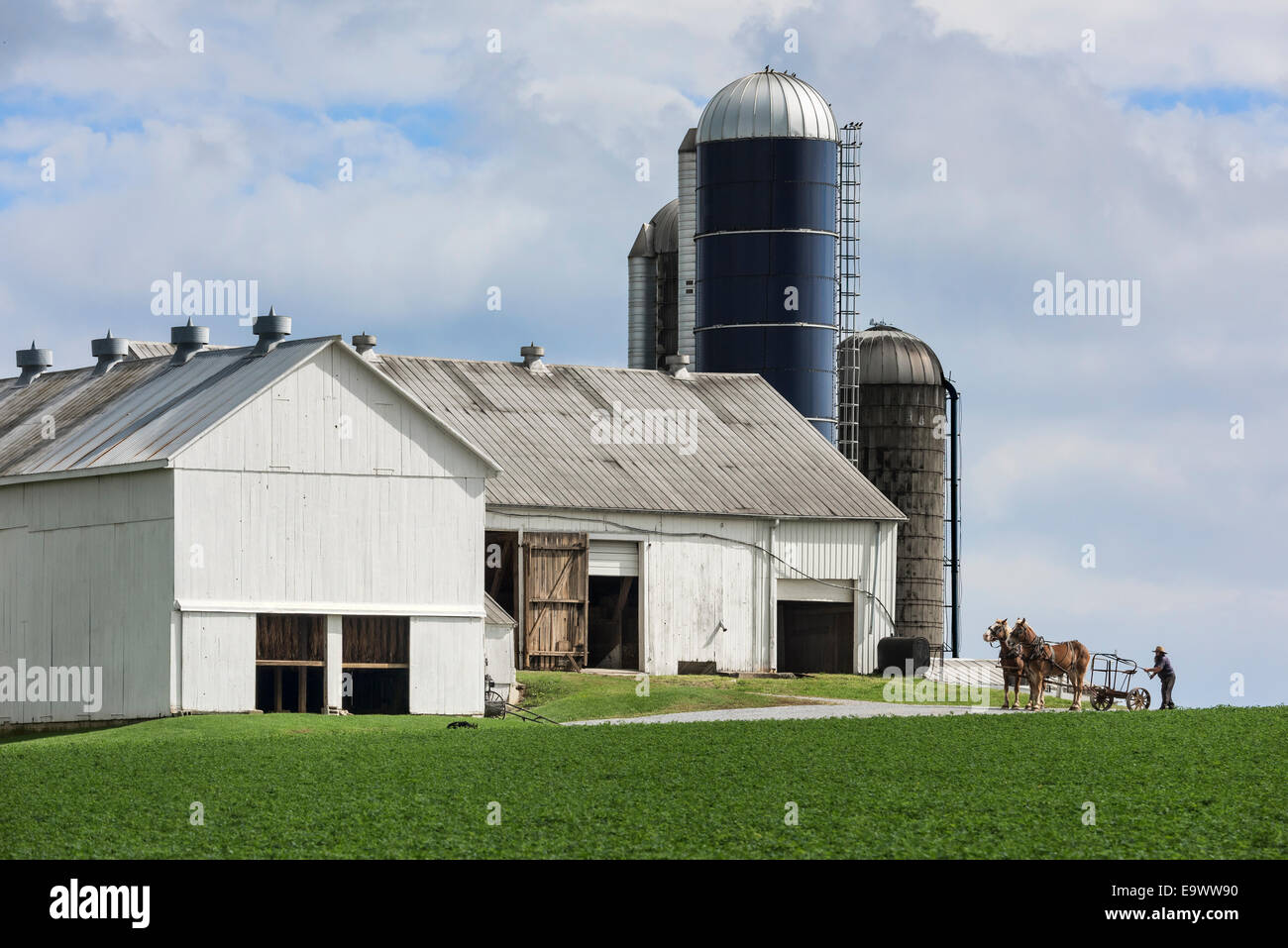 Amische Landwirt Anhängekupplungen eine Drwan Pferdewagen auf seinem Hof, Gordonville, Lancaster, Pennsylvania, USA Stockfoto