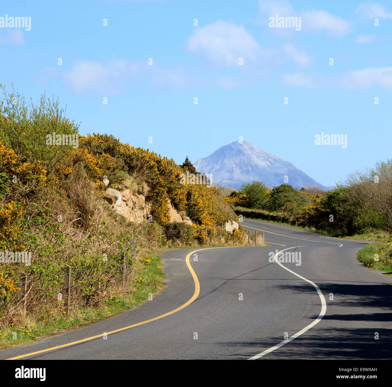 Eine kurvenreiche irische Landstraße in der Grafschaft Donegal mit dem Berg Errigal, in der Ferne unter einem sommerblauen Himmel. Stockfoto