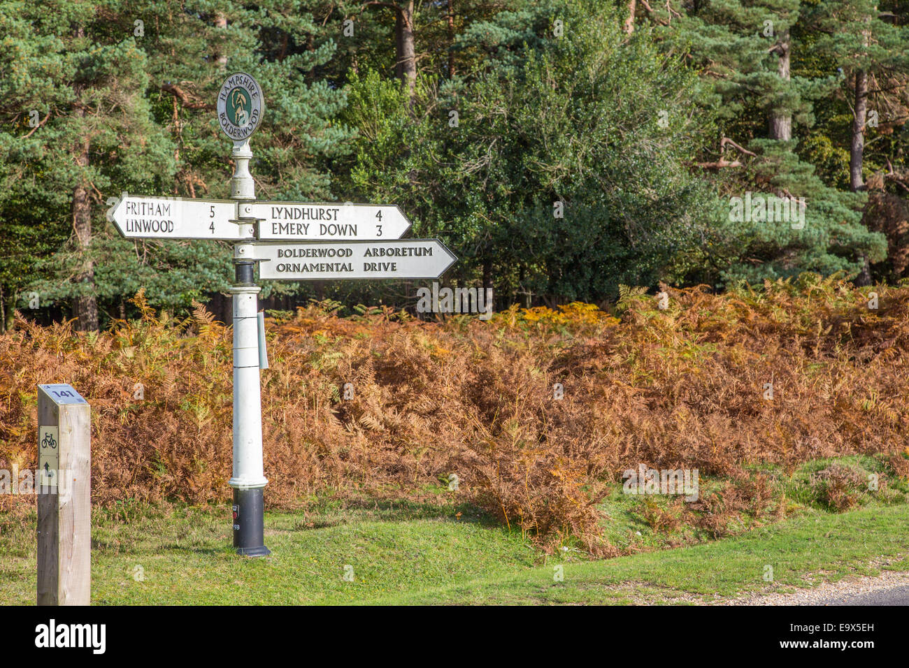 New Forest-Wegweiser in der Nähe von Bolderwood, Hampshire Stockfoto