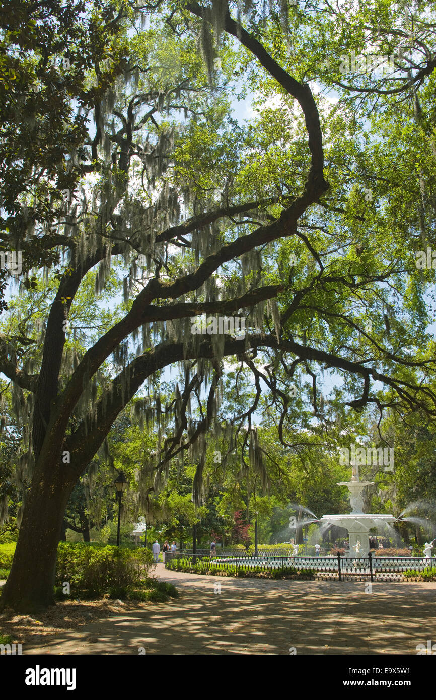 FOUNTAIN FORSYTH PARK SAVANNAH GEORGIA USA Stockfoto