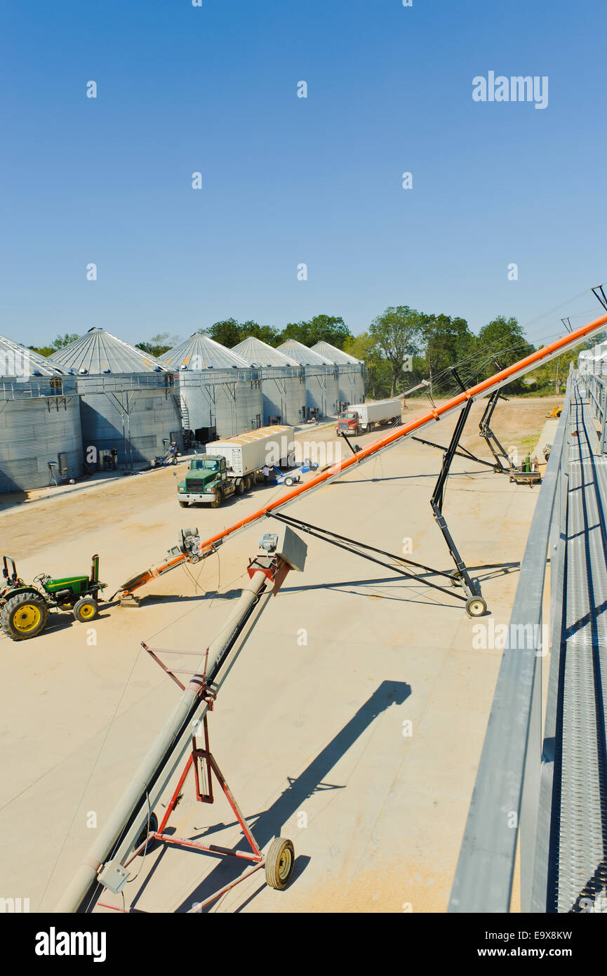 LKW kommen aus dem Bereich geladen mit Reis erwarten entladen; McGehee, Arkansas, Vereinigte Staaten von Amerika Stockfoto