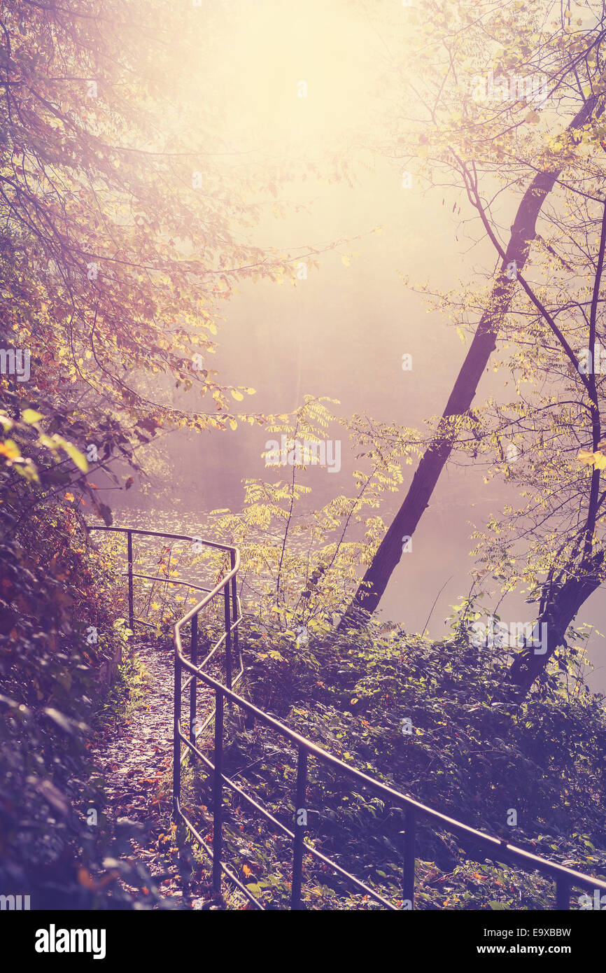 Retro-gefilterte Bild eines Pfades im Wald. Stockfoto