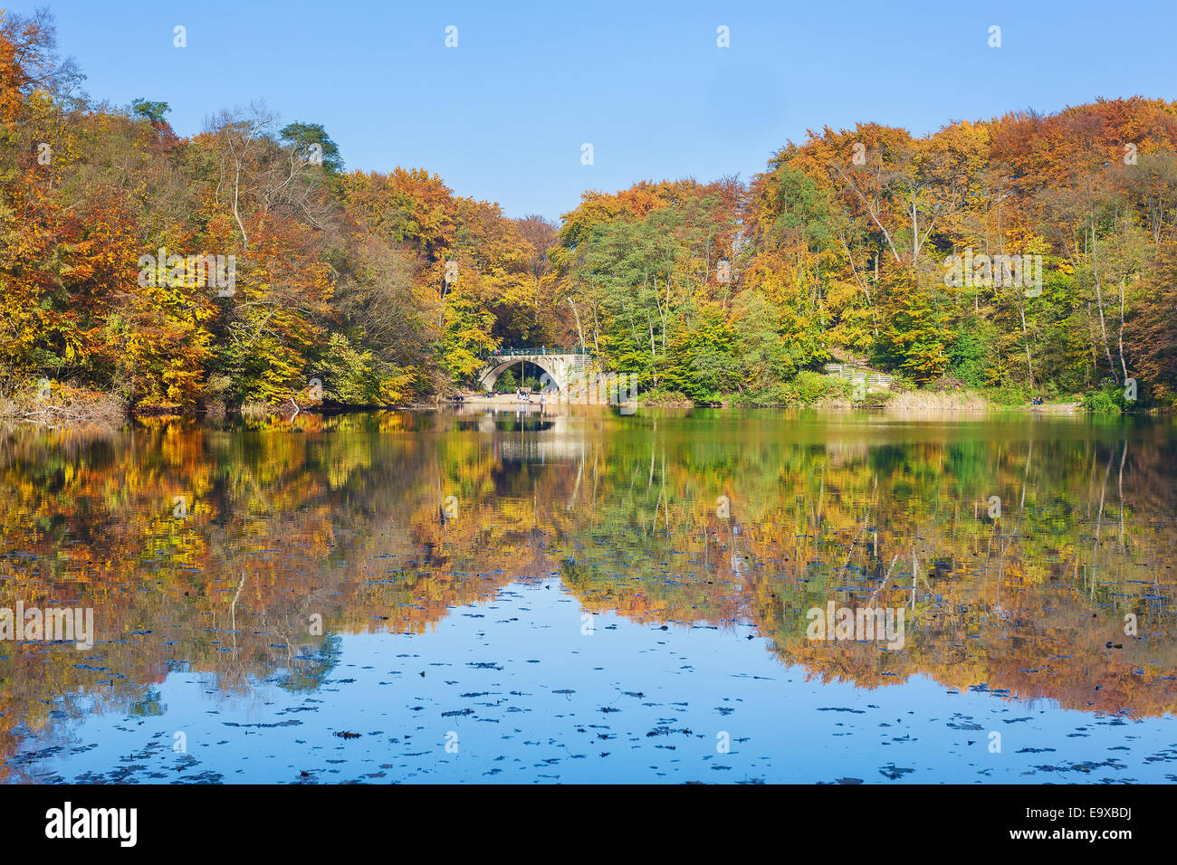 Bunte Herbstlandschaft mit Reflexion in einem See. Stockfoto