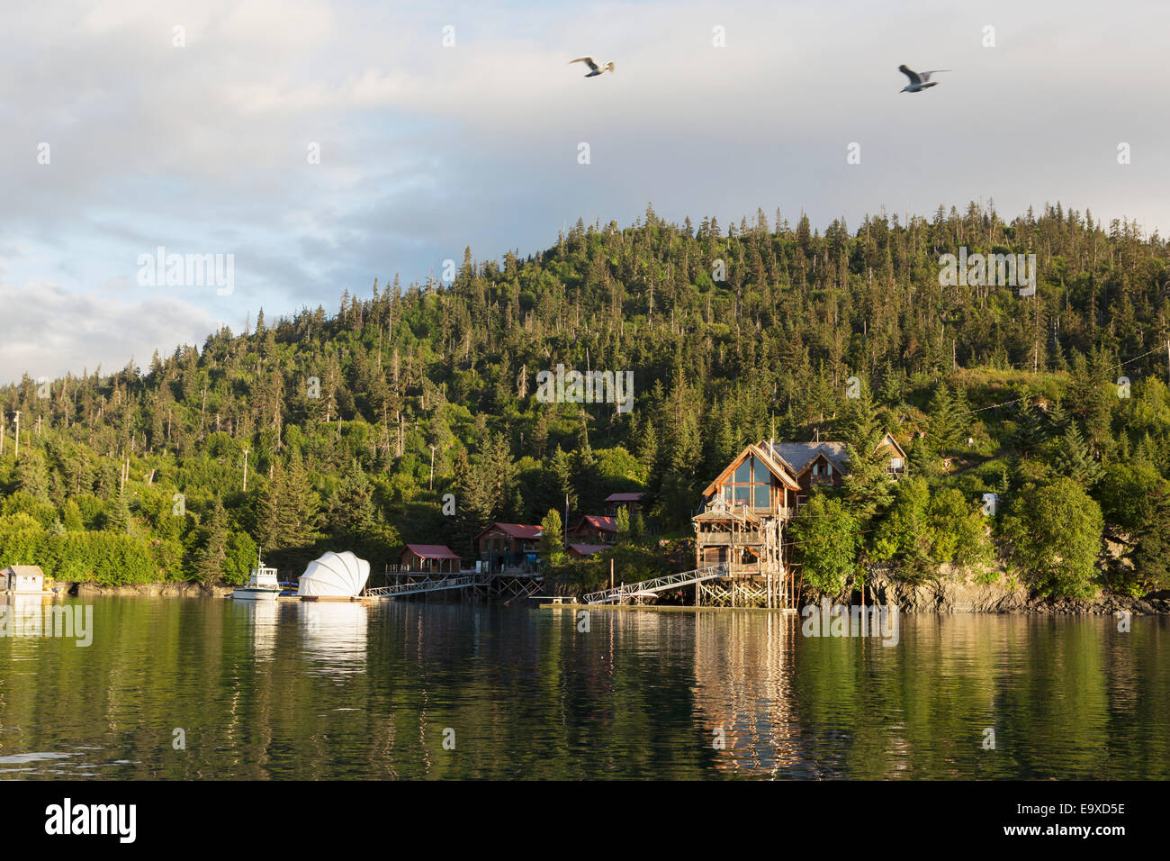 Wohnhaus auf Stelzen in Halibut Cove, Kachemak Bay, Yunan Alaska. Stockfoto