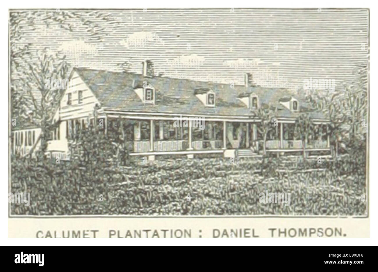 Diese 1891 abgebildete Illustration zeigt die Calumet Plantation, die Daniel Thompson in Louisiana gehört, und zeigt das Leben der Plantagen und die landwirtschaftlichen Strukturen im Süden des späten 19. Jahrhunderts. Stockfoto