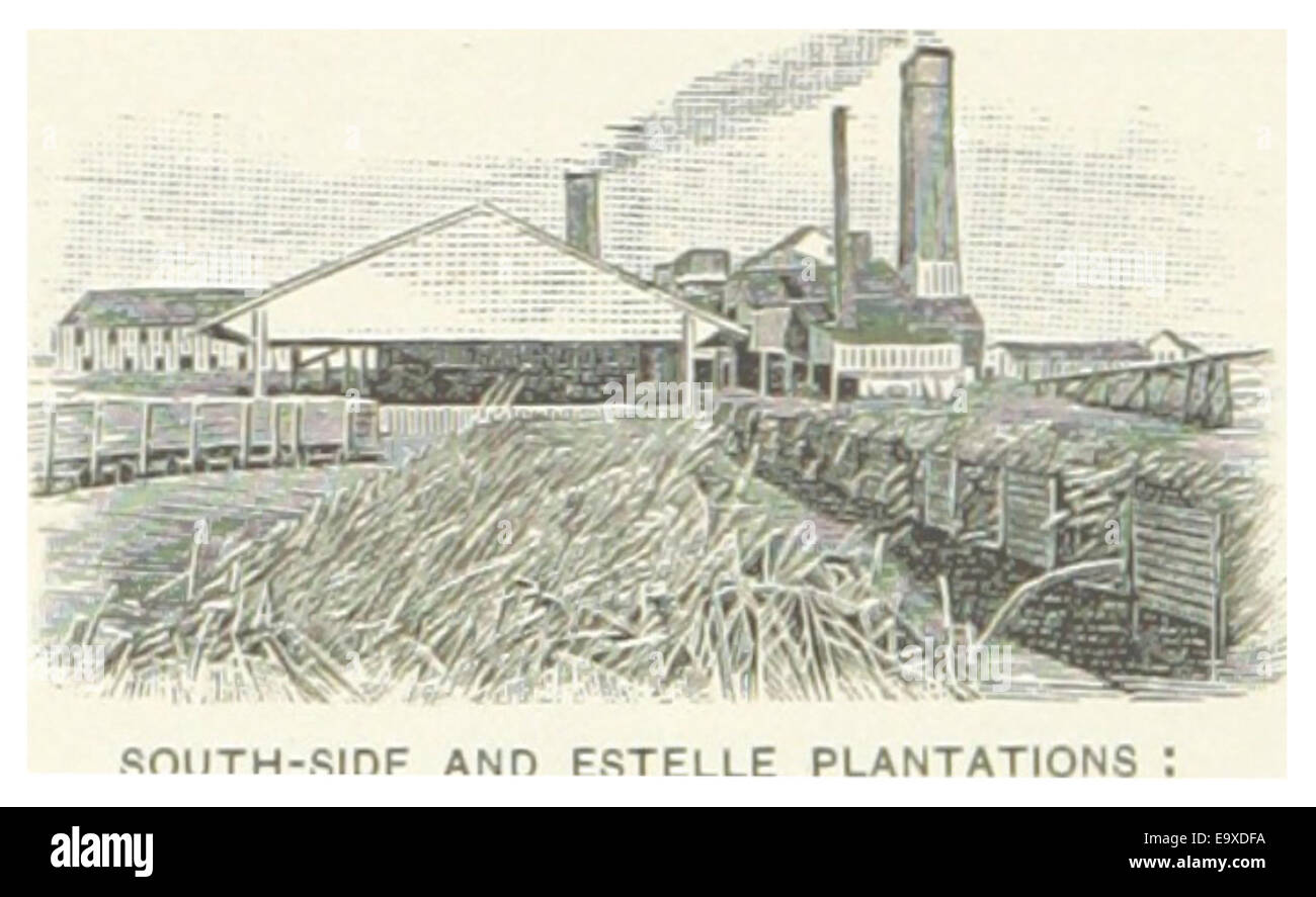 Eine Illustration der Plantagen South Side und Estelle aus dem Jahr 1891, die die landwirtschaftliche Entwicklung und das Plantagenleben in Louisiana während des späten 19. Jahrhunderts zeigt. Stockfoto