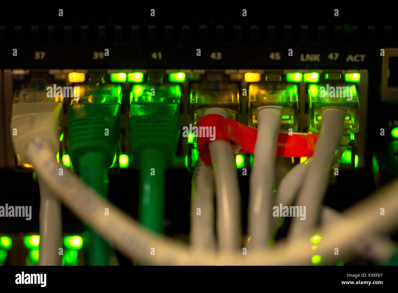 Rückseite des Server mit bunten Kabeln Stockfoto