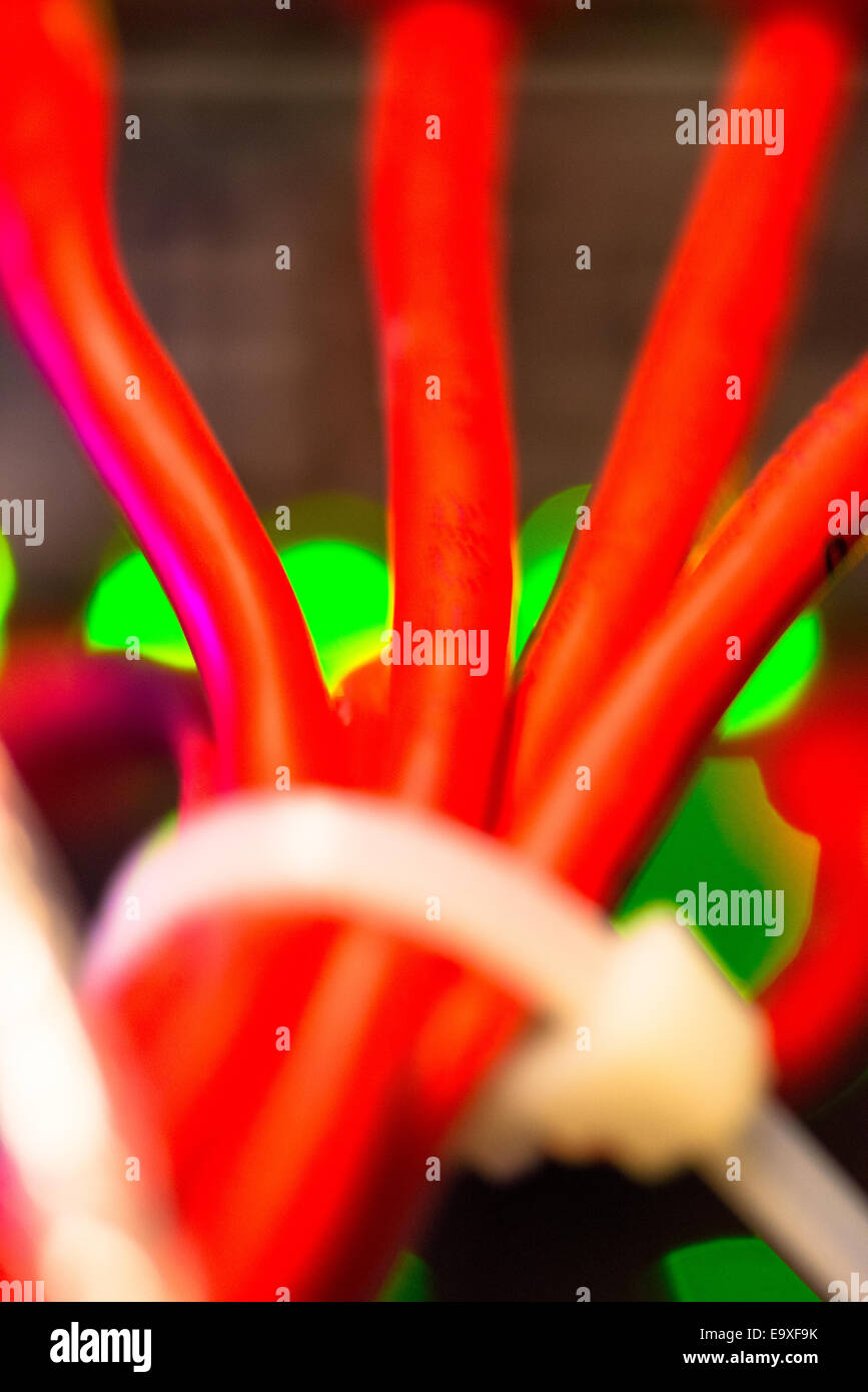 Rückseite des Server mit bunten Kabeln Stockfoto