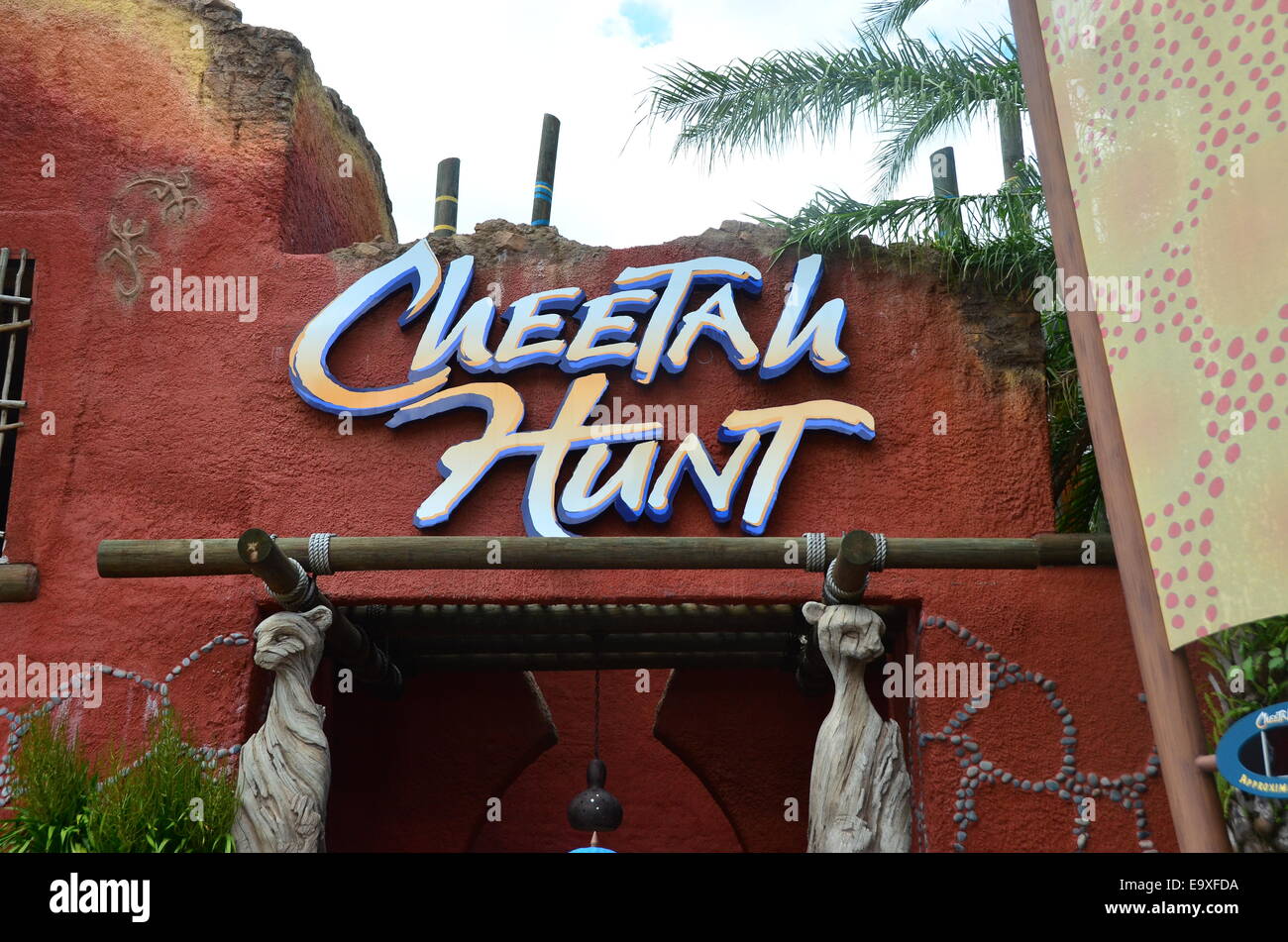 Der Cheetah Jagd Reiten in Busch Gardens in Tampa, Florida, USA Stockfoto