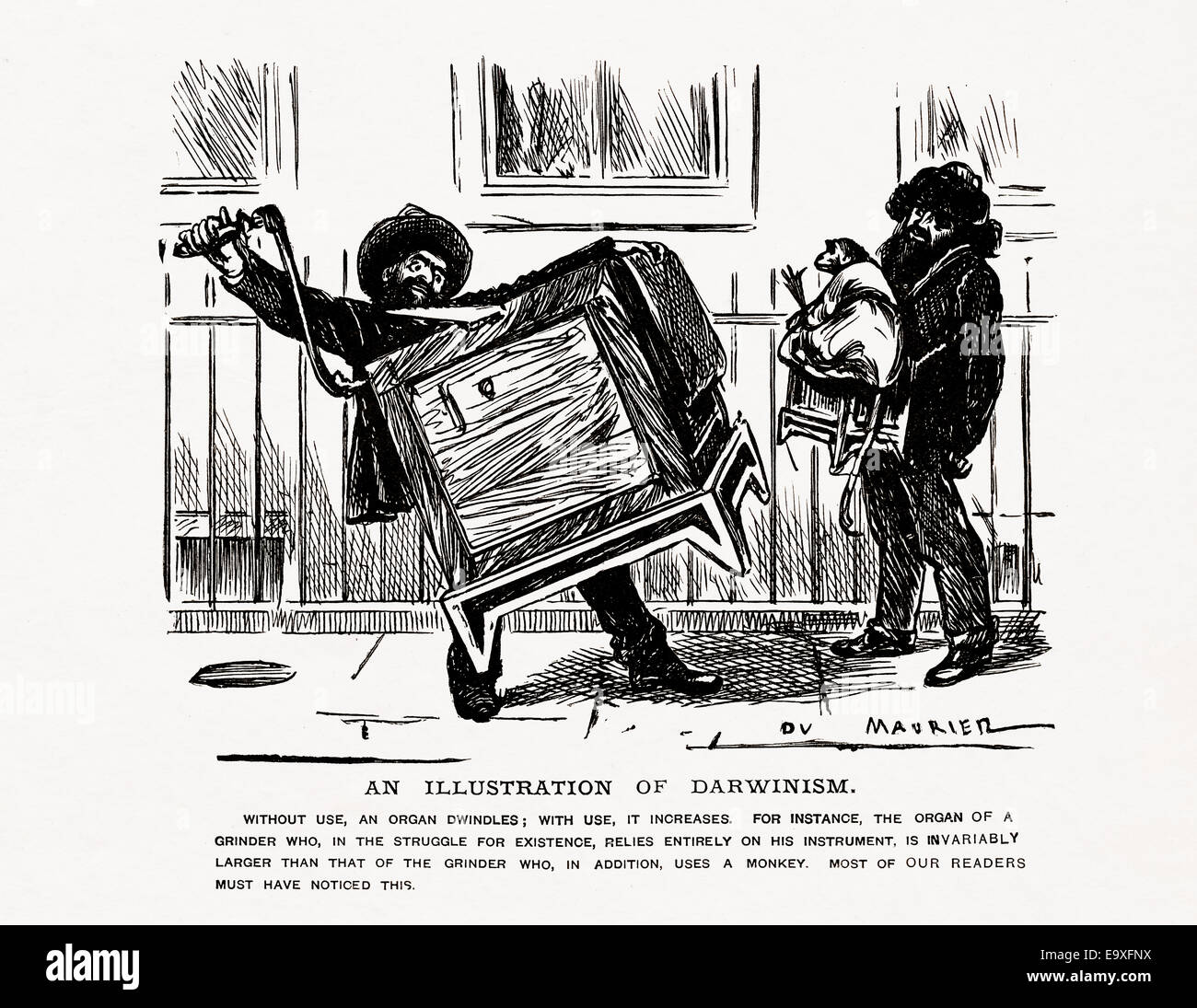 satirische viktorianischen Abbildung von 1877 von George du Maurier, "Eine Abbildung des Darwinismus" Stockfoto