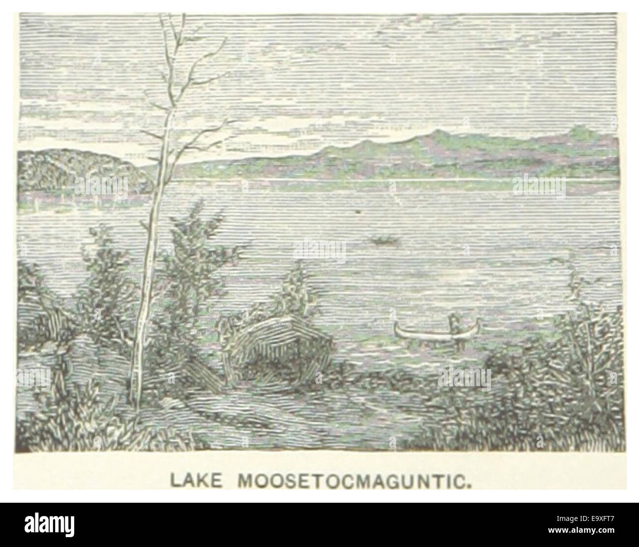 Seite 316 von *US-ME (1891)* zeigt den Lake Mooselookmeguntic, der sich im Westen von Maine befindet. Die Karte unterstreicht die Nähe zu den nahe gelegenen Städten und ihre Bedeutung als Naturdenkmal in der Region. Stockfoto