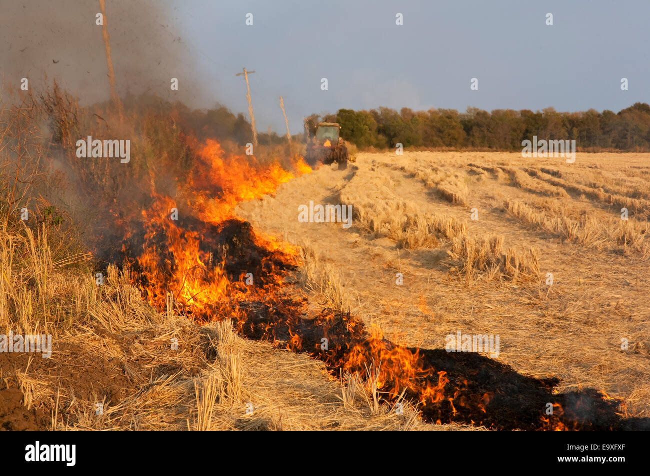 Bill, Ag, Landwirtschaft, landwirtschaftliche, Country, ländliche Stockfoto