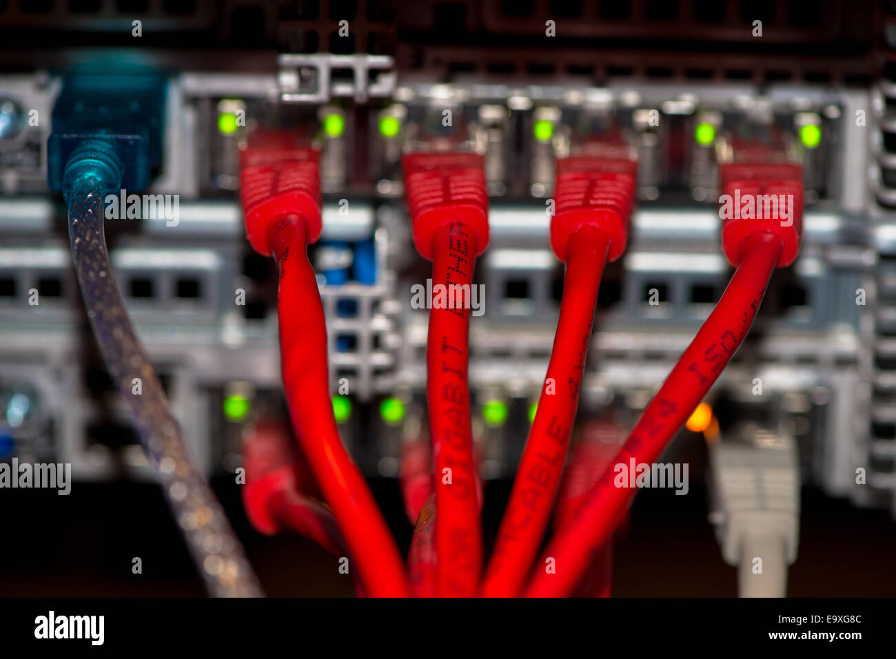 Rückseite des Server mit bunten Kabeln Stockfoto