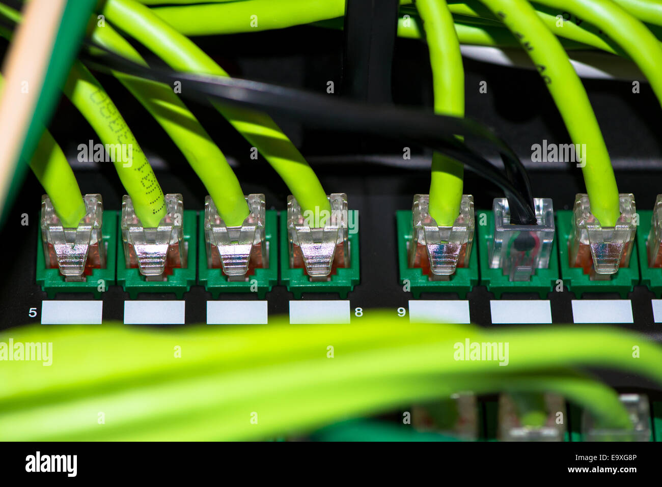 Rückseite des Server mit bunten Kabeln Stockfoto