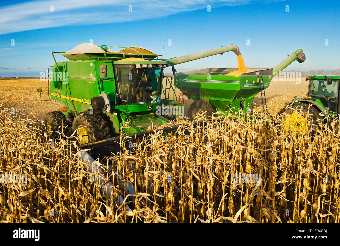 Landwirtschaft - ein John Deere kombinieren ernten Getreide Mais und entlädt in einem Traktor gezogen Getreide Wagen Stockfoto