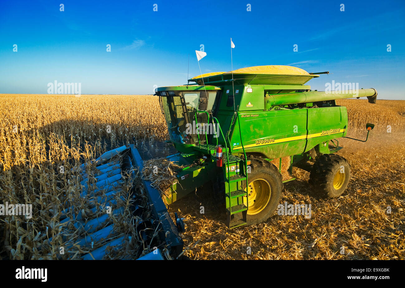Landwirtschaft - John Deere Mähdrescher erntet Körnermais im Herbst / in der Nähe von Niverville, Manitoba, Kanada. Stockfoto