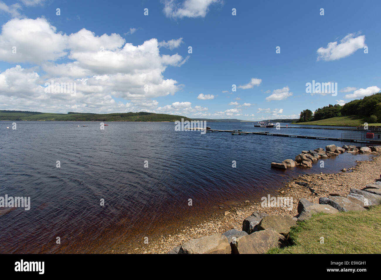 Kielder See, Northumberland. Malerische Aussicht auf Kielder Seeufer am Leaplish Ufer Park. Stockfoto