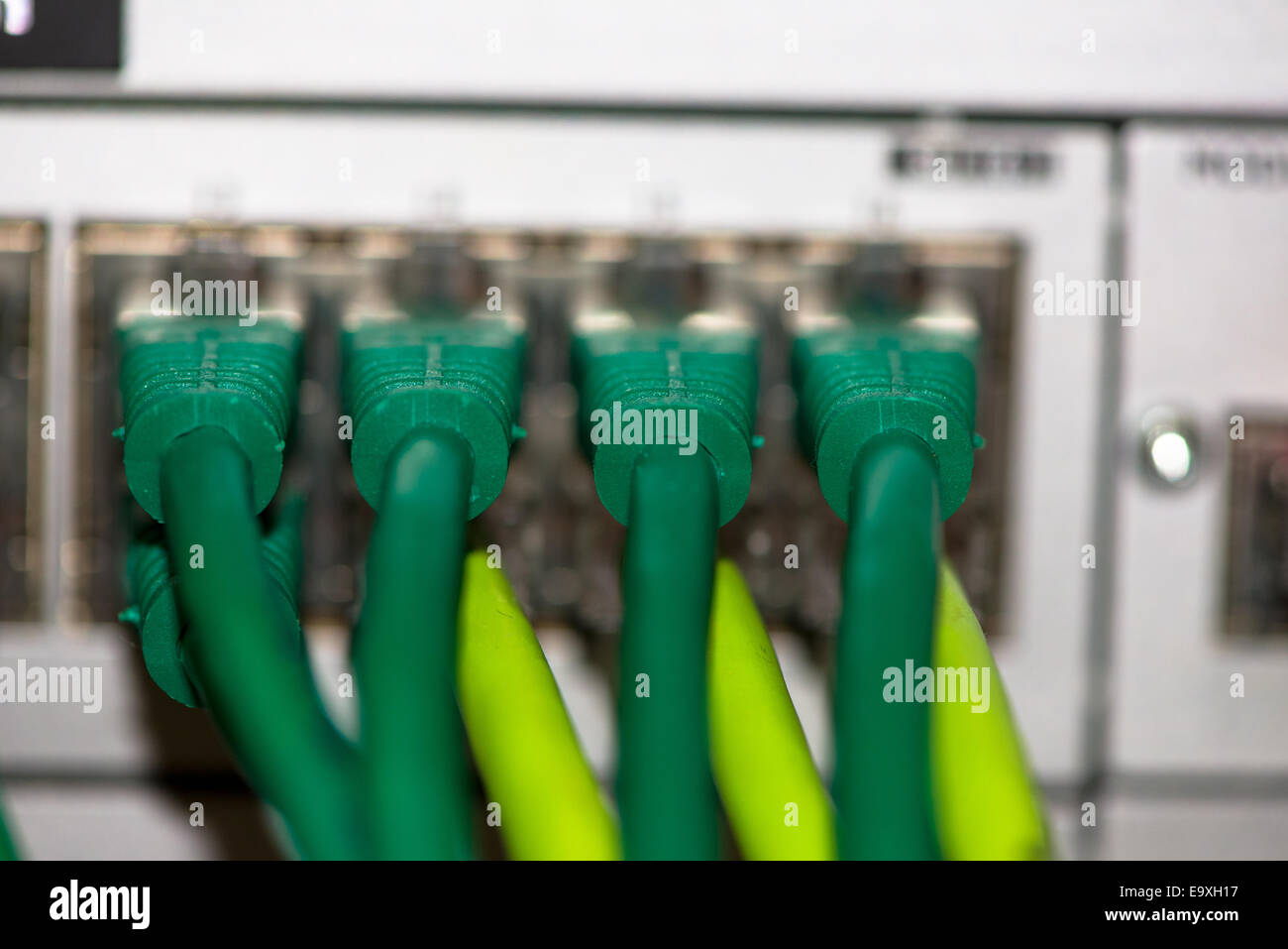 Rückseite des Server mit bunten Kabeln Stockfoto