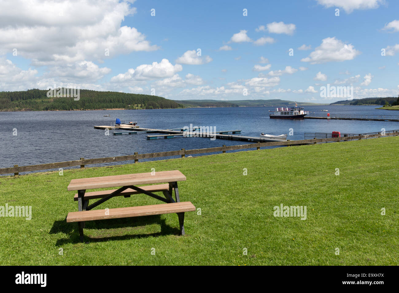 Kielder See, Northumberland. Malerische Aussicht auf Kielder Seeufer am Leaplish Ufer Park. Stockfoto