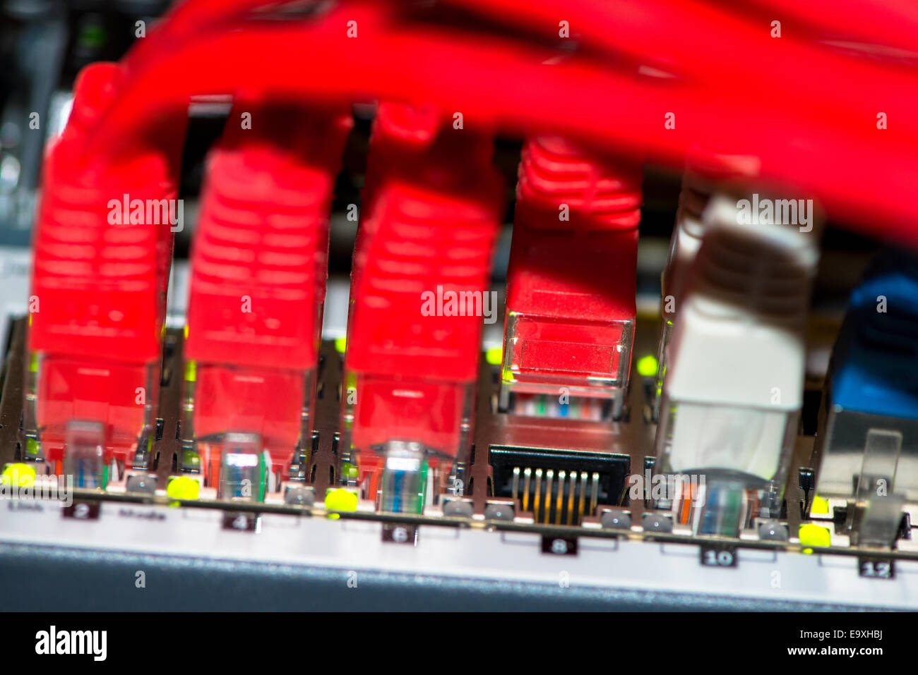 Rückseite des Server mit bunten Kabeln Stockfoto