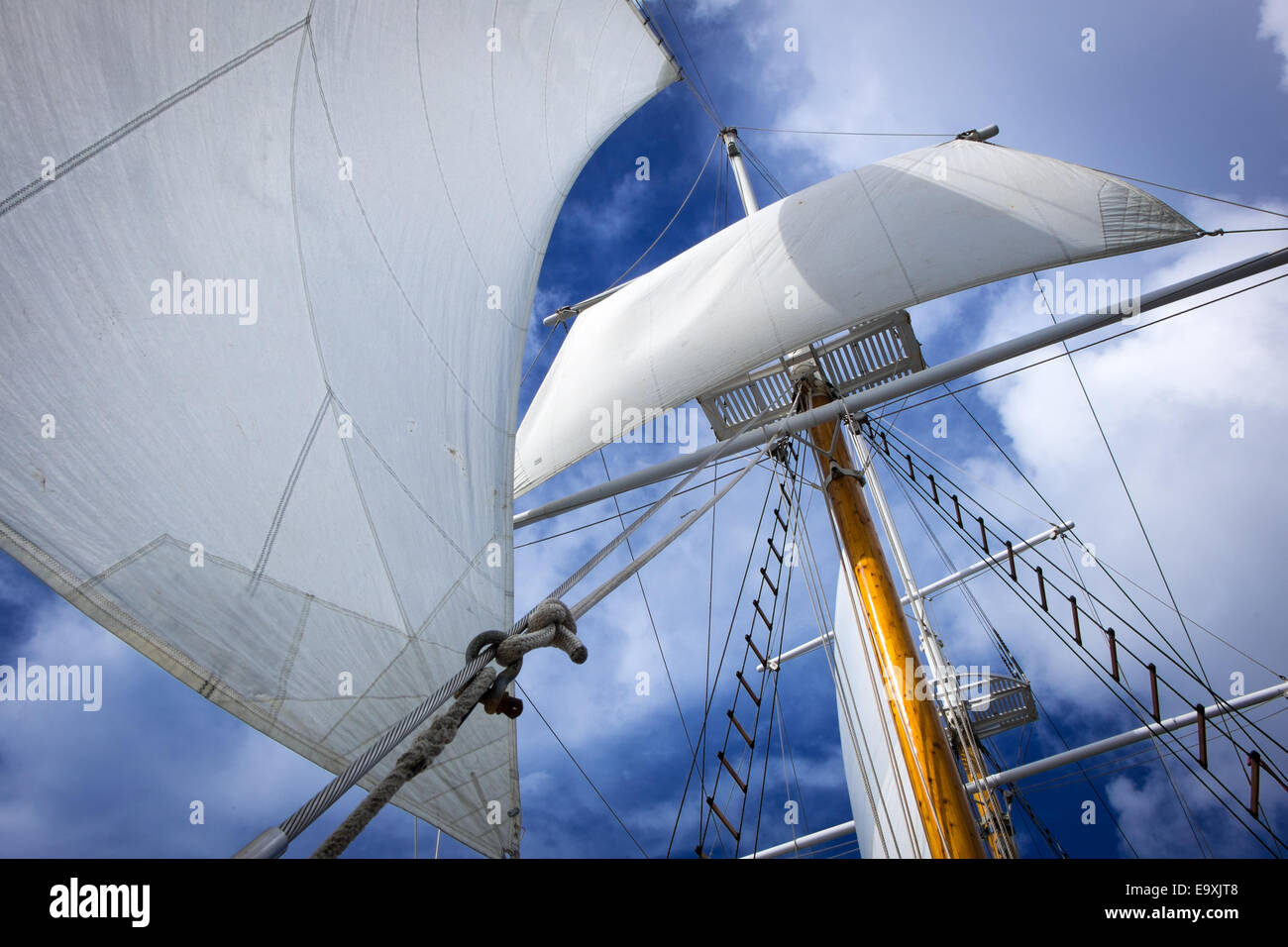 Großsegler Segeln in der Karibik Stockfoto